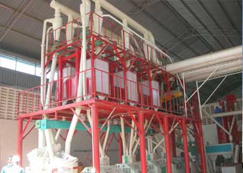 Maize 50T - Tanzania