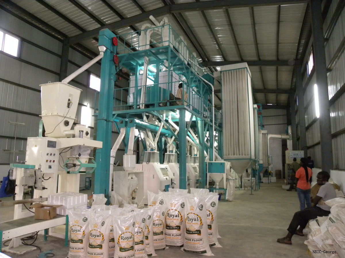 50TPD maize flour milling plant